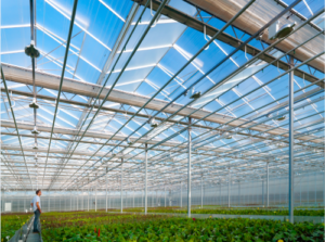 Consultation of greenhouse settlements